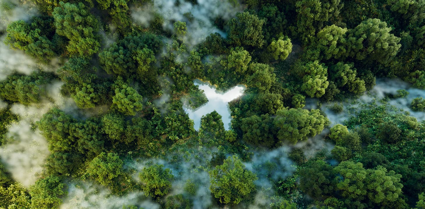 Développement durable et engagements RSE